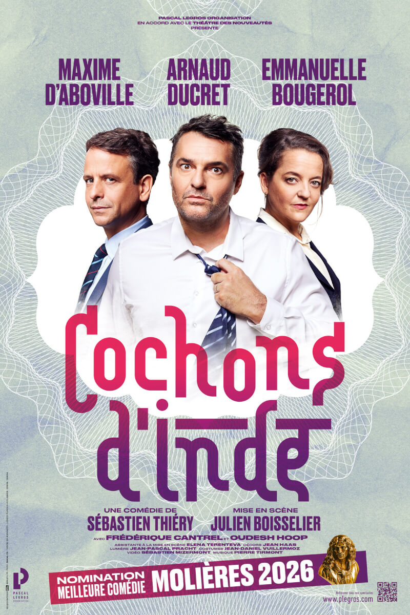 Anim15 COCHONS D'INDE  